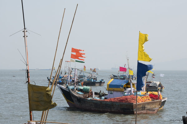 Foto Decorar Sabor a Curry Barco Mumbai