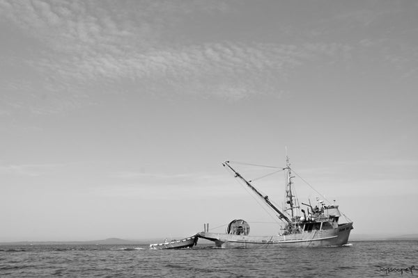 Foto Decorar Transportes Barco San Juan