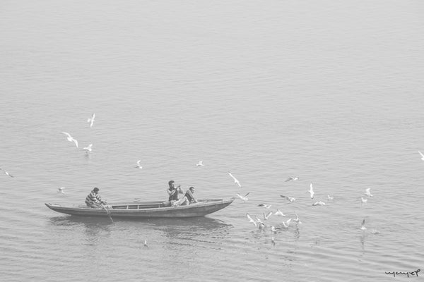 Foto Decorar Agua - Arena Barquita Pajaros