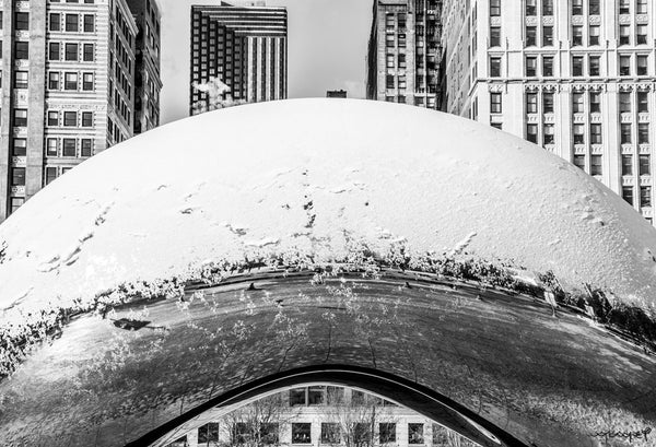 Foto Decorar Clasicos Bean Nevado Chicago 2