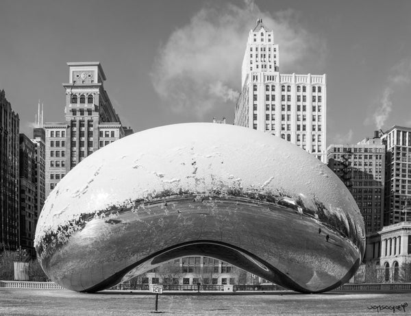 Foto Decorar Clasicos Bean Nevado Chicago