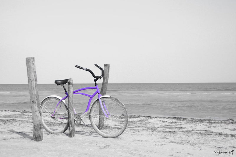 Foto Decorar Transportes Bici Holbox 2