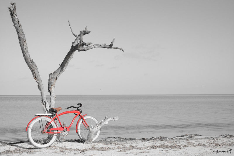 Foto Decorar Transportes Bici Holbox