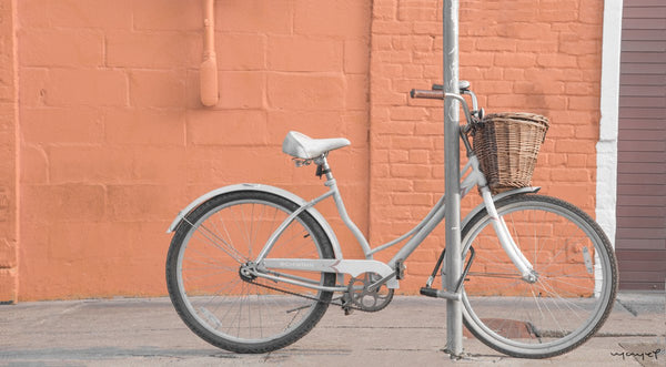 Foto Decorar Transportes Bici New Orleans 2