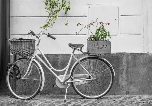 Foto Decorar Transportes Bici Sassicaia