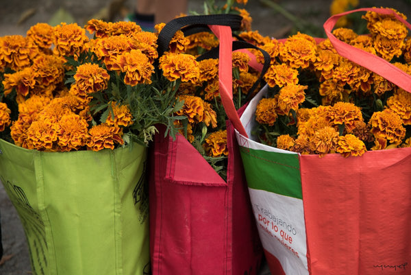 Foto Decorar Sabor a Curry Bolsas Cepasuchtl