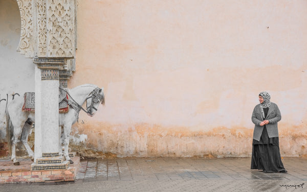 Foto Decorar Sabor a Curry Caballo Marruecos