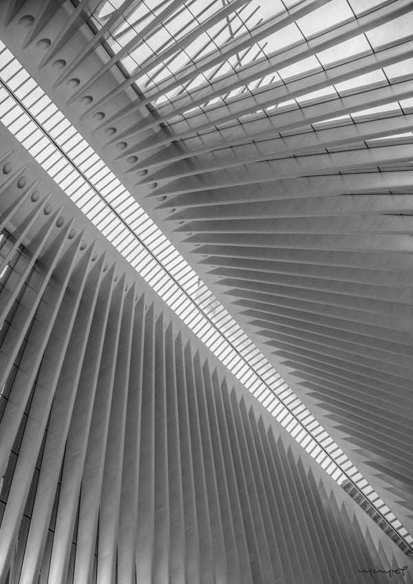 Foto Decorar Abstracto Calatrava Domo 2