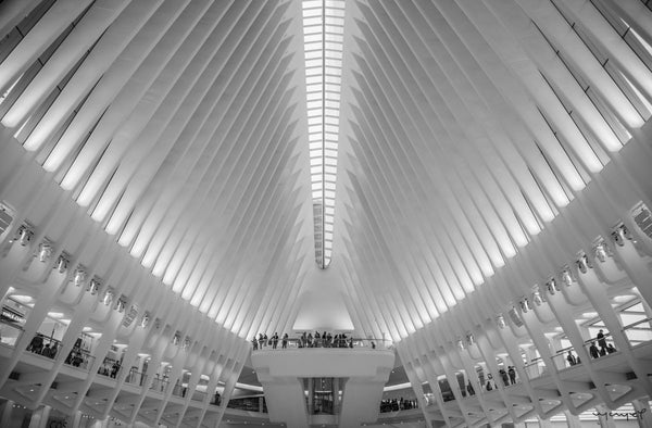 Foto Decorar Arquitectura Calatrava NY 4