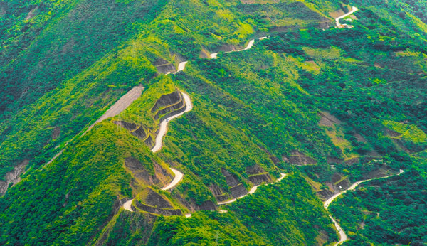 Foto Decorar Paisajes Camino Terror