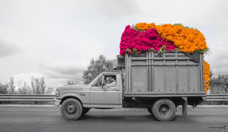Foto Decorar Colores Mexicanos Camion Flores Cempasuchil