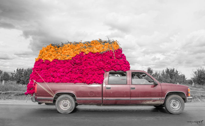 Foto Decorar Colores Mexicanos Camioneta Flores Cempasuchil
