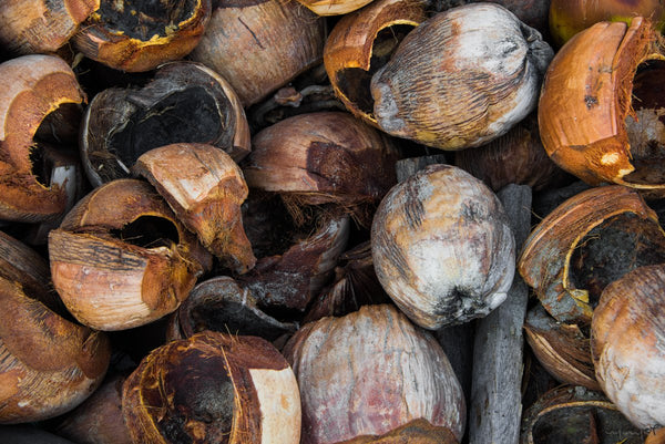 Foto Decorar Naturaleza Cocos Diamantes