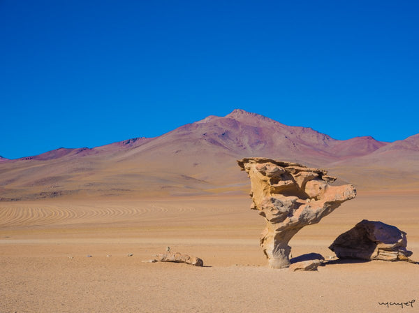 Foto Decorar Paisajes Desierto Piedra T