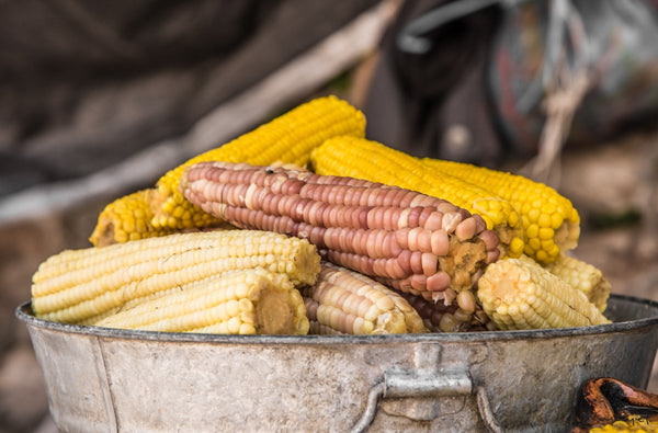 Foto Decorar Colores Mexicanos Elotes En Tina 2