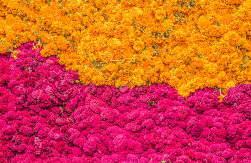 Foto Decorar Naturaleza Flores Media Cepasuhitl