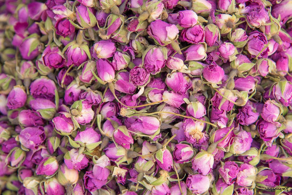 Foto Decorar Naturaleza Flores Secas Marruecos