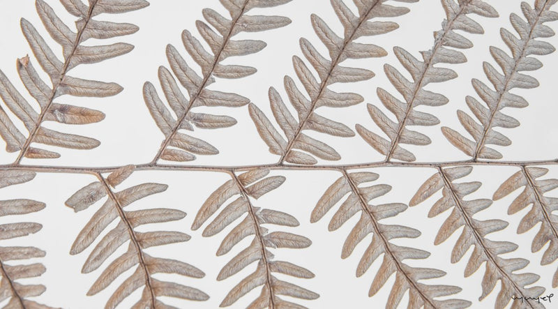 Foto Decorar Naturaleza Hojas Sulp 4