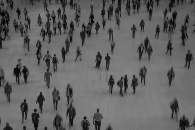 Foto Decorar Abstracto Hormigas Calatrava