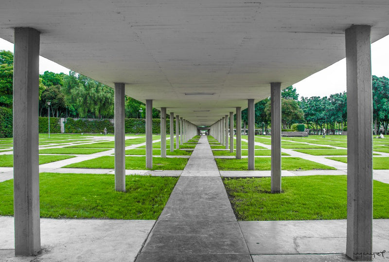 Foto Decorar Arquitectura Jardines UNAM