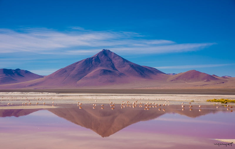 Foto Decorar Paisajes Laguna Colorada