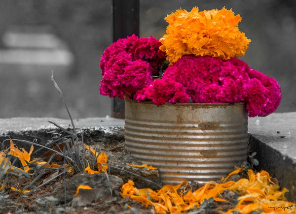 Foto Decorar Colores Mexicanos Lata Tumba