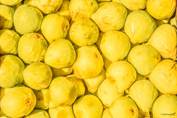 Foto Decorar Naturaleza Limones Toscana