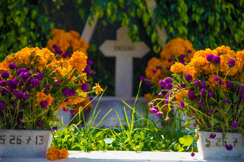 Foto Decorar Colores Mexicanos Macetas Flores Panteon