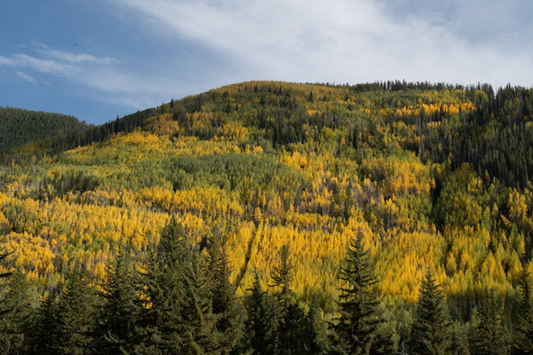 Foto Decorar Paisajes Montu Vail