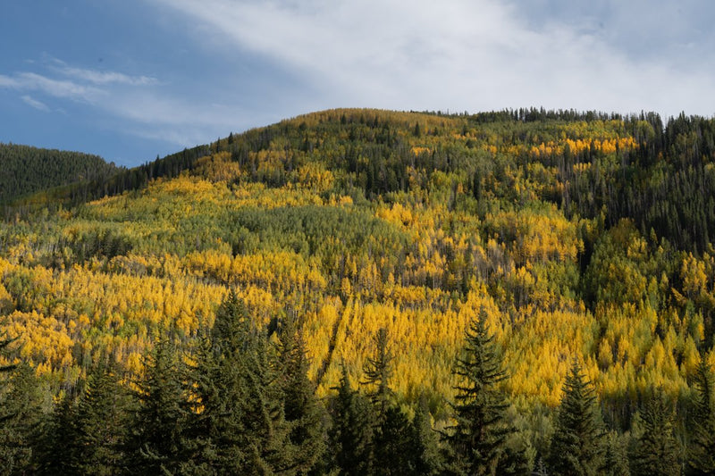Foto Decorar Paisajes Montu Vail