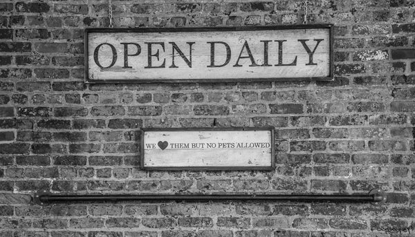 Foto Decorar Urbanismo Open Daily