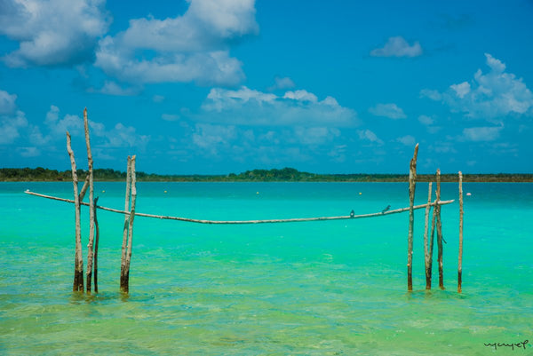 Foto Decorar Paisajes Palitos Bacalar