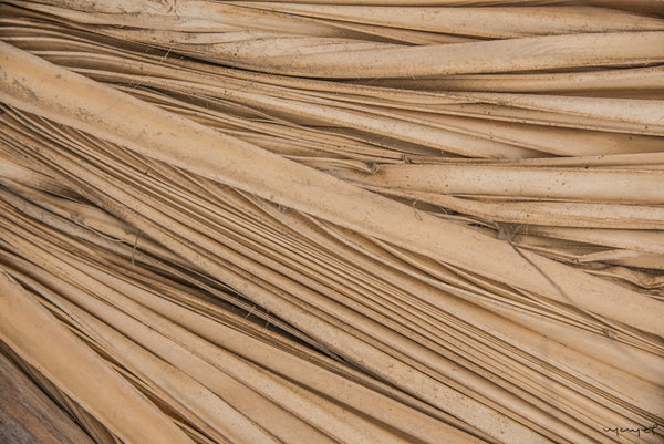 Foto Decorar Abstracto Palmas Guerrero 2