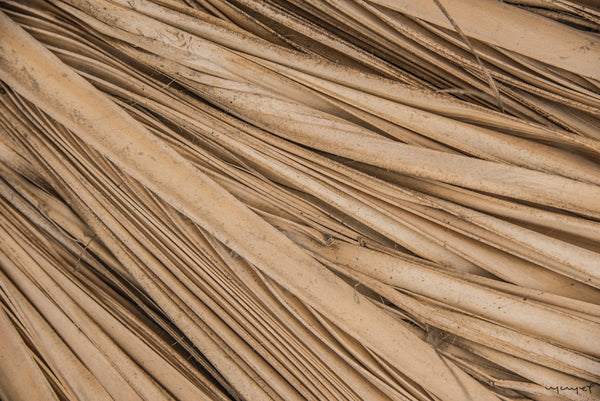 Foto Decorar Abstracto Palmas Guerrero 3