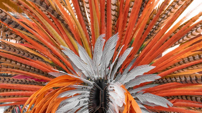 Foto Decorar Colores Mexicanos Penacho San Miguel
