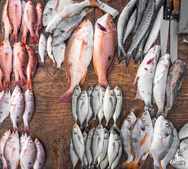 Foto Decorar Animales Otros Pescaderia Guerrero