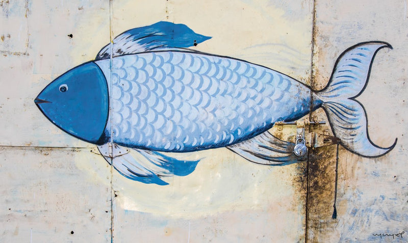 Foto Decorar Sobre Puertas Pescara Cuba