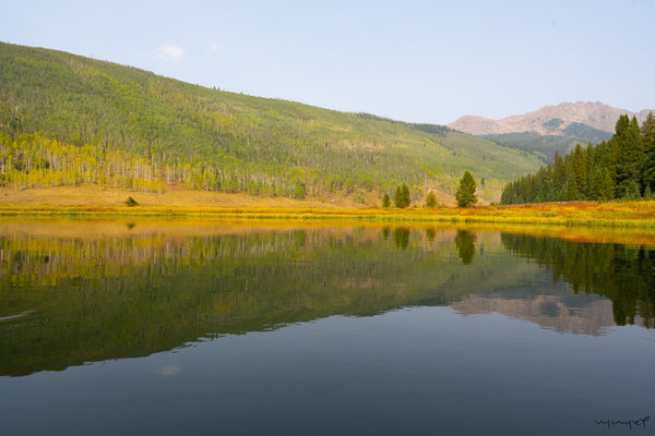 Foto Decorar Paisajes Pine Lake 2