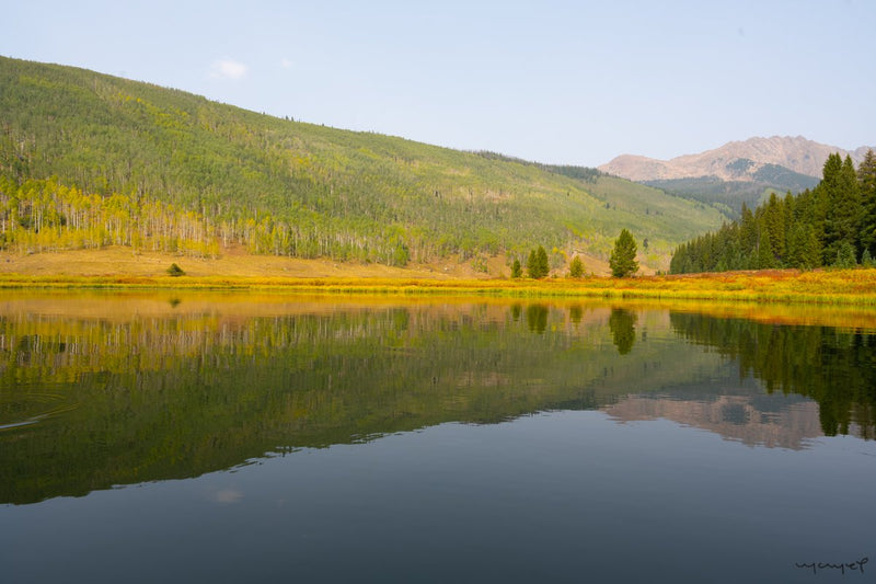 Foto Decorar Paisajes Pine Lake 2