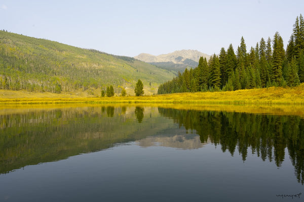 Foto Decorar Paisajes Pine Lake