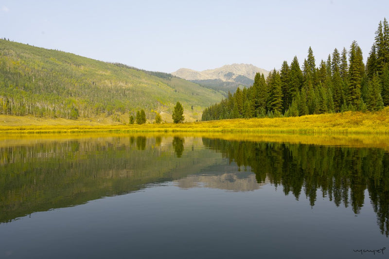 Foto Decorar Paisajes Pine Lake