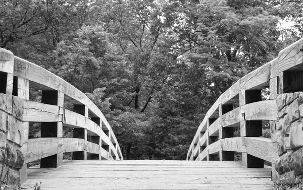 Foto Decorar Punto de Fuga Puente Parque Chicago BN
