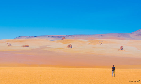 Foto Decorar Paisajes Solitario Atacama 2