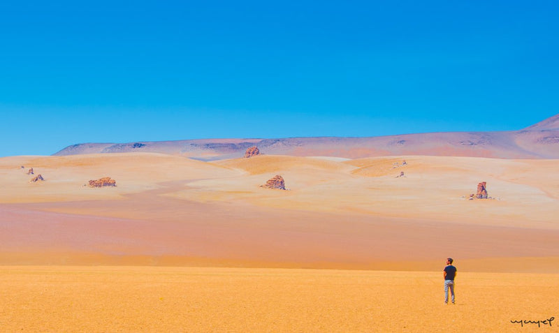 Foto Decorar Paisajes Solitario Atacama 2