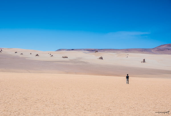 Foto Decorar Paisajes Solitario Atacama