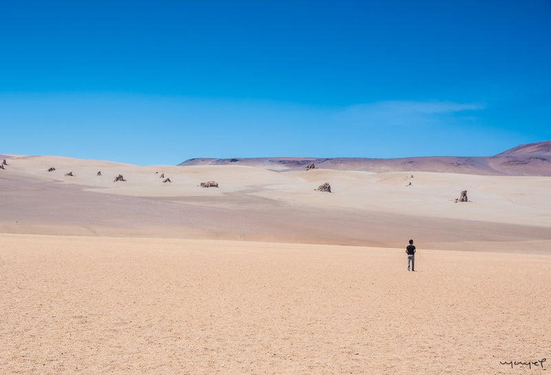Foto Decorar Paisajes Solitario Atacama