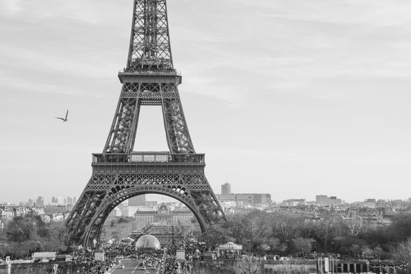 Foto Decorar Clasicos Torre Eiffel Pajaro