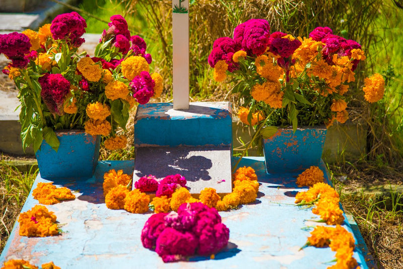 Foto Decorar Colores Mexicanos Tumba Azul Panteon