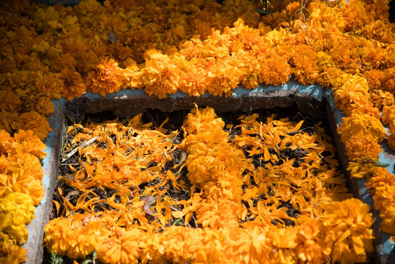 Foto Decorar Colores Mexicanos Tumba Cubierta Flores Cempasuchil